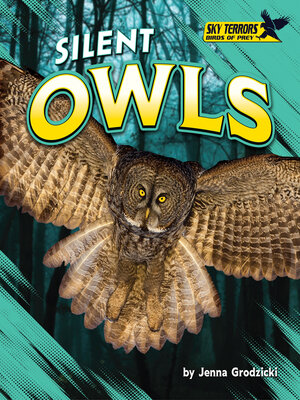 cover image of Silent Owls